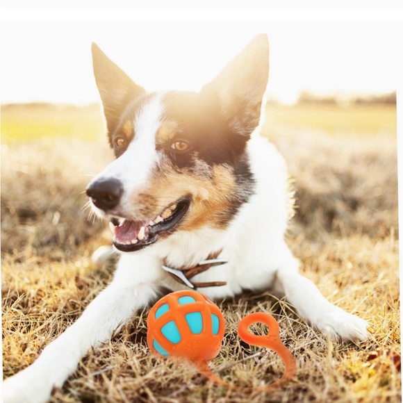 Brilliance Fetch Ballon the Rope. Dog toy to play catch orange & blue. - Picture 9 of 9